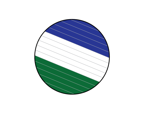 Cascadia Treibball Club